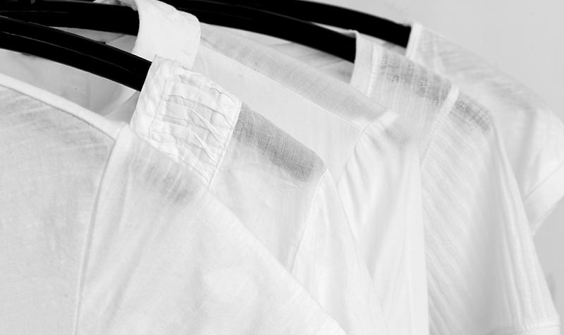 Quest Boards Skateboarding